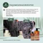 Жидкий шампунь ProPhyto DERMA PROTECT SHAMPOO для собак с растительными экстрактами против перхоти и себореи, 250 мл