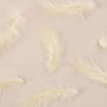 Перья кремовый 12-15 см, 30 шт ВВ