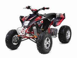 Квадроцикл спортивный  SHARMAX GX-Cruiser 320 (P)