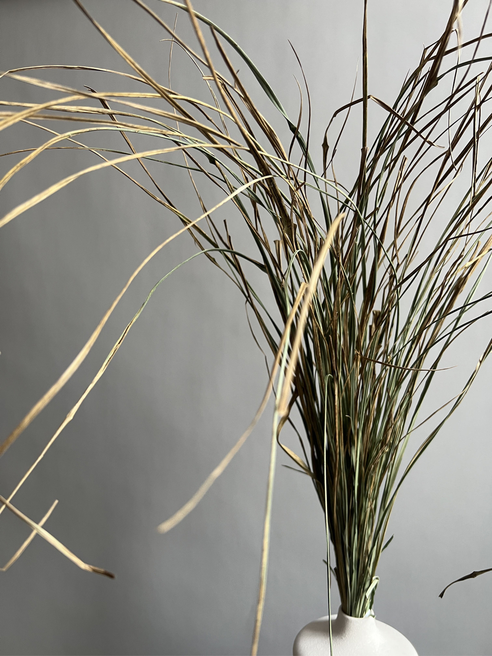 Грасс большой пучок