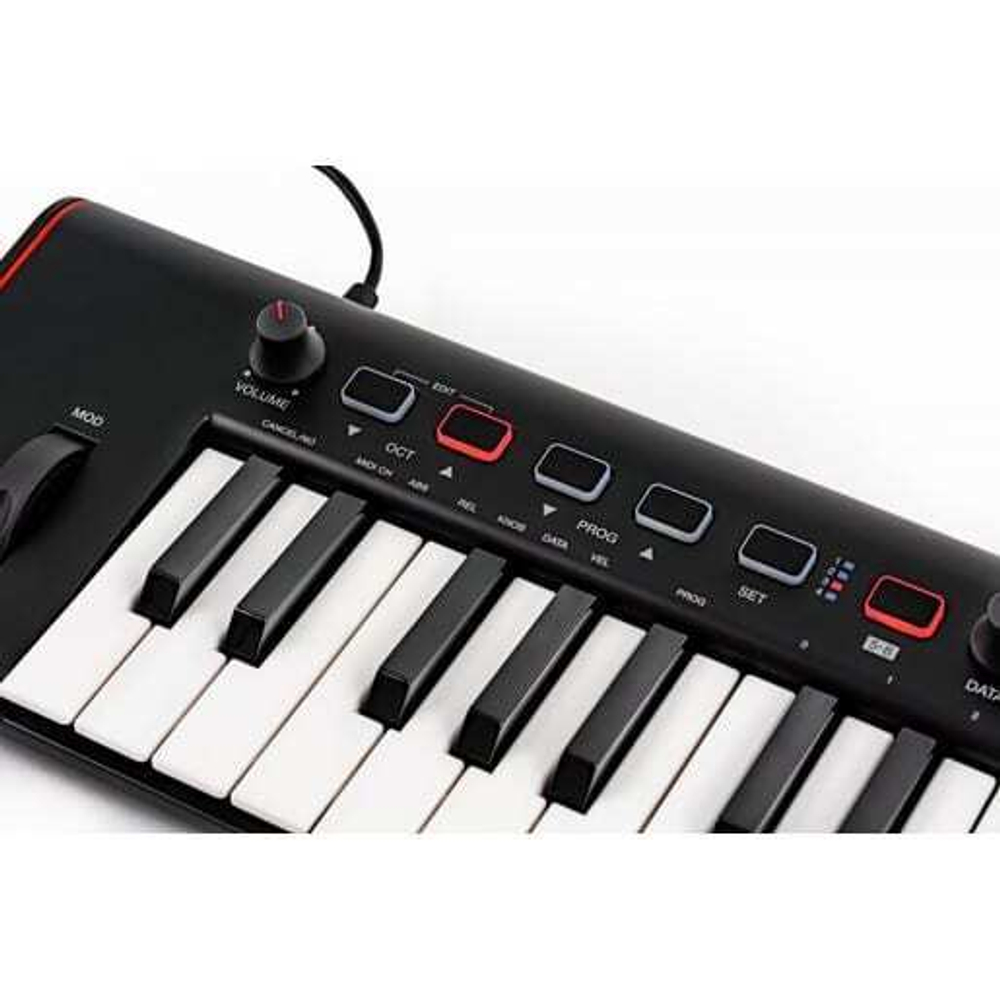 MIDI-клавиатура IK MULTIMEDIA iRig Keys 2