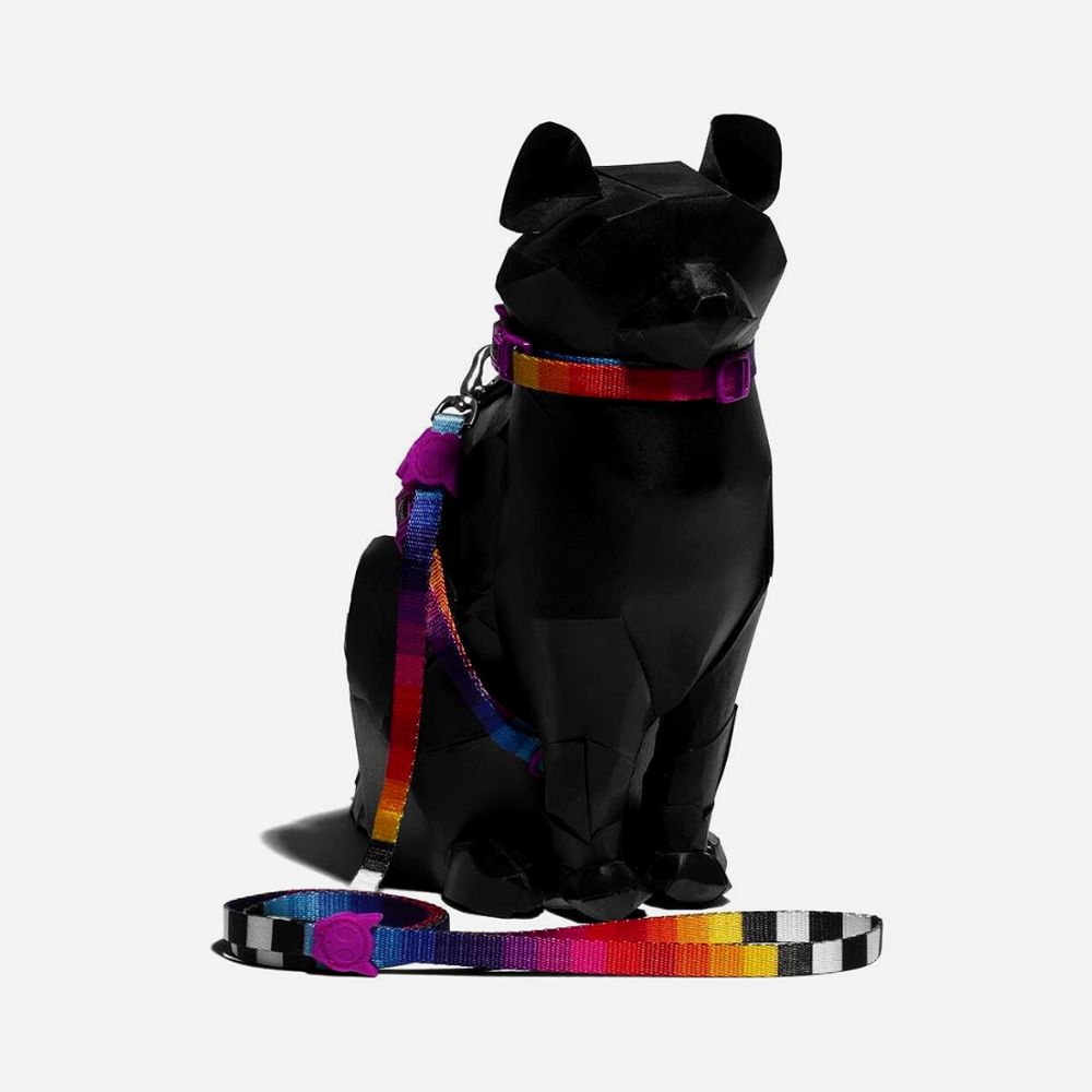 Шлейка+поводок PRISMA Zee.Cat