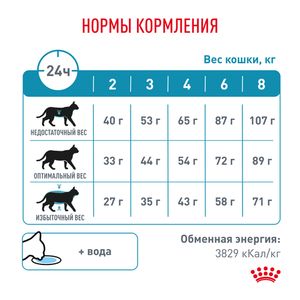 Корм для кастрированных/стерилизованных котов и кошек, Royal Canin Skin & Coat, повышенной чувствительностью кожи и шерсти