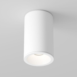 Накладной светильник Maytoni Technical C029CL-01-S-W