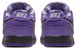 Кроссовки Concepts X Nike Dunk Sb Pro