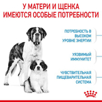 Royal Canin GIANT STARTER MOTHER & BABYDOG питание д/ сук и щенков очень крупных размеров до 2-х мес. 15 кг