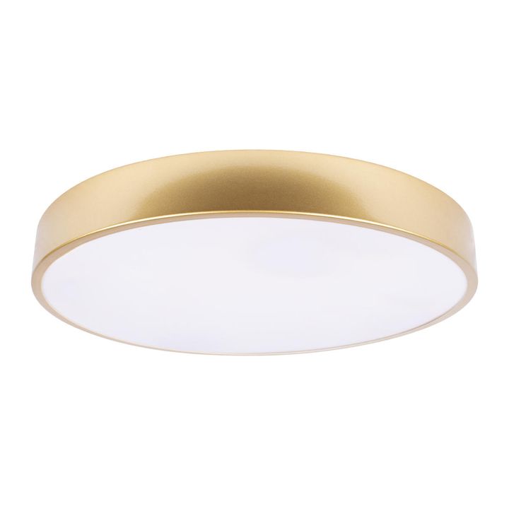 Потолочный светодиодный светильник Loft IT Flims 10228/A