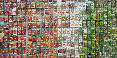 Огромный выбор семян от популярных и проверенных временем агрофирм