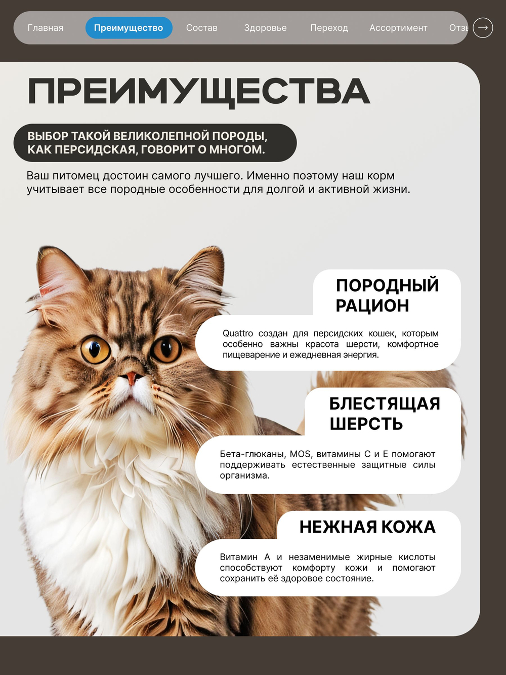 Корм сухой для взрослых кошек породы Персидская, с лососем, 2 кг, QUATTRO