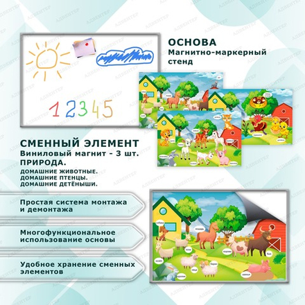 Комплект развивающий ПРИРОДА. ДОМАШНИЕ ДЕТЁНЫШИ. ДОМАШНИЕ ЖИВОТНЫЕ. ДОМАШНИЕ ПТЕНЦЫ. 2195