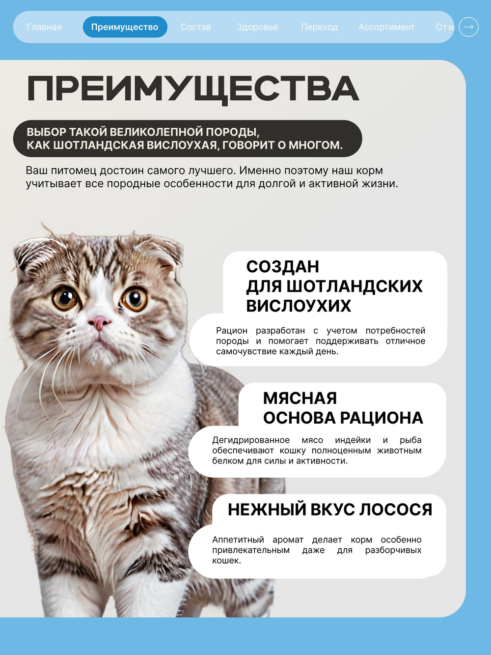 Корм сухой для взрослых кошек породы Шотландская вислоухая, с лососем, 400 гр, QUATTRO