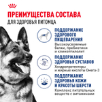 Корм сухой Royal Canin Maxi Adult для взрослых собак крупных размеров от 15 месяцев до 5 лет 15кг
