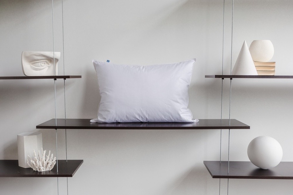 Комплект элитных пуховых одеяла 200х200 и подушки 50x68 German Grass Downline