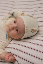 1529-337 Чепчик (полетели)