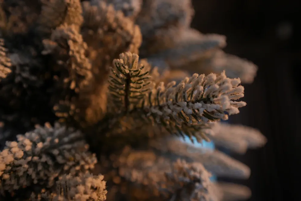 Заснеженная елка «Noel» (Литая+пвх) 240 см / 2,4 м