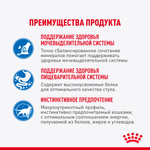Royal Canin Indoor Sterilized Корм консервированный для взрослых кошек соус 85г