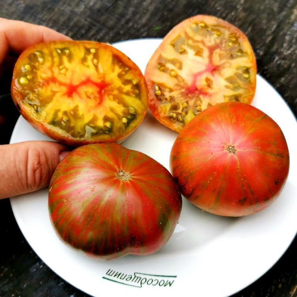 Помидоры Мятные Пёстрые Лилипуты - Dwarf Peppermint Stripes Tomato