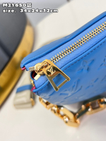 Louis Vuitton Coussin MM