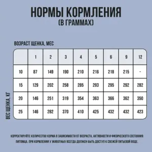 Сухой корм BOWL WOW для щенков крупных пород с ягненком, индейкой, рисом и добавлением черники