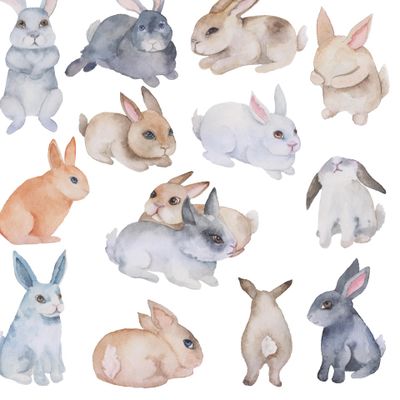 Set of watercolor hares on white background