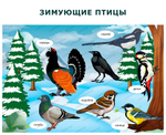 Комплект развивающий Природа: Зимующие птицы 2176