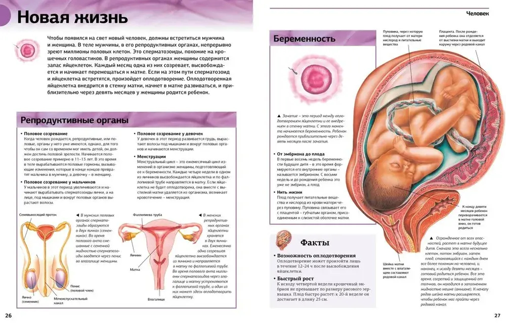 Гигантская энциклопедия школьника