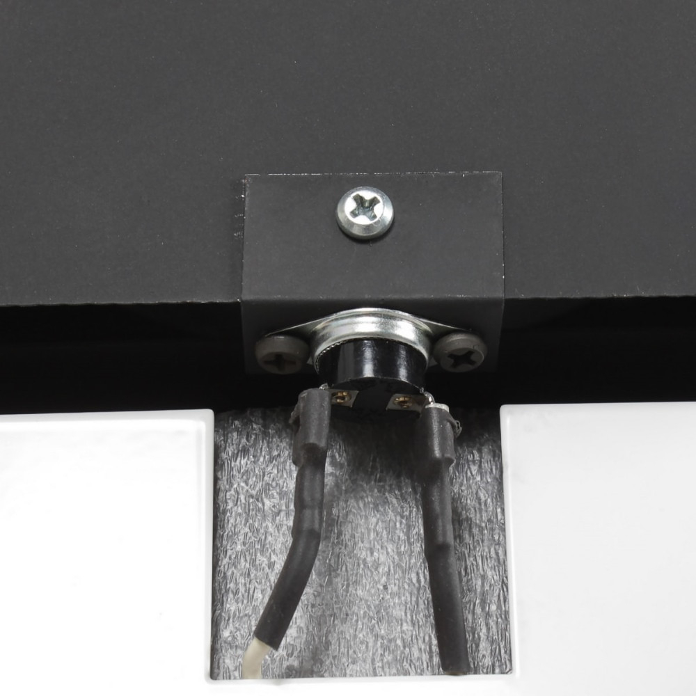 Котел газовый Лемакс Wester Clever 30