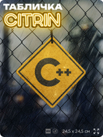 Табличка декоративная "C++" на дверь и стену, для программиста, информационная, декоративный знак, 24,5х24,5 см, пластиковая, Айдентика Технолоджи