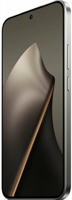 Xiaomi 15T 12/256Gb RU Gray