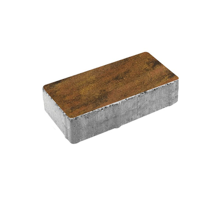 Тротуарная плитка ПРЯМОУГОЛЬНИК 200x100 мм - Листопад гладкий Саванна