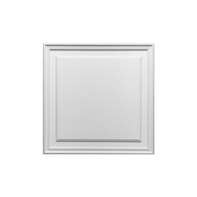 Дверной декор D503 накладная панель Orac Décor