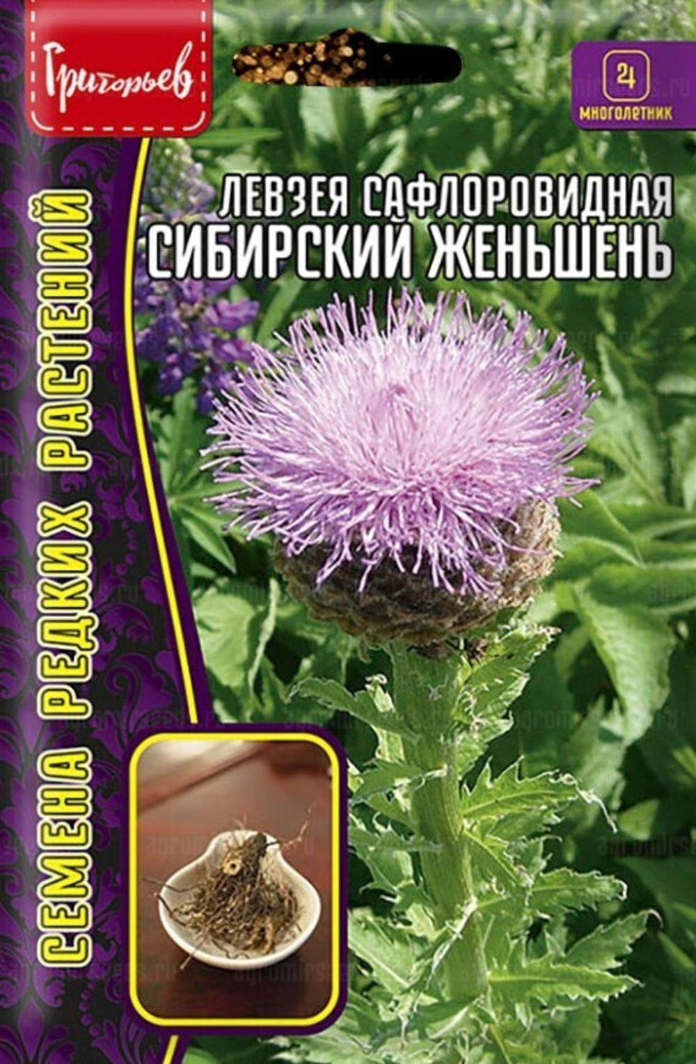 Левзея сафлоровидная (моралий корень) (Сибирский женьшень)