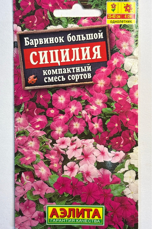 Барвинок Сицилия, смесь сортов СМЦ-812