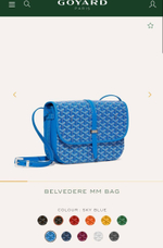 Сумка Goyard