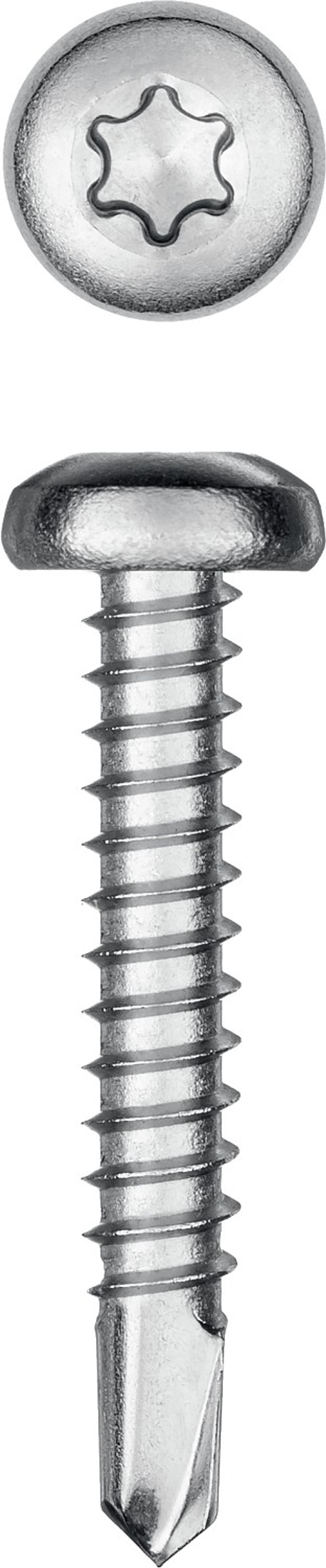 KRAFTOOL DS-P, 32 х 4.8 мм, А2, сверло, полукруглая головка, ТХ25, 250 шт, саморез нержавеющий (300931-48-032)