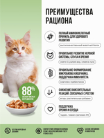 Влажный корм для котят и беременных кошек беззерновой с ягненком и овощами в соусе BOWL WOW 0,085 г. 12 упаковок