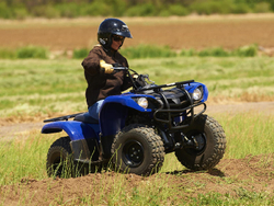 Квадроцикл GRIZZLY 125