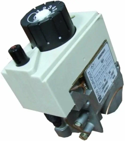 Боринское АОГВ-11,6-1 " EUROSIT "