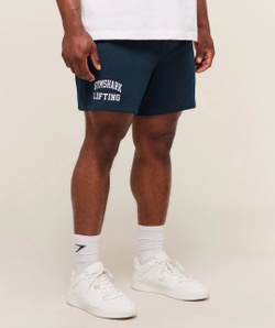 Шорты GYMSHARK Lifting 5" Mesh Shorts Navy