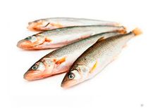 Корюшка Балтийская крупная ОХЛАЖДЁННАЯ~1кг