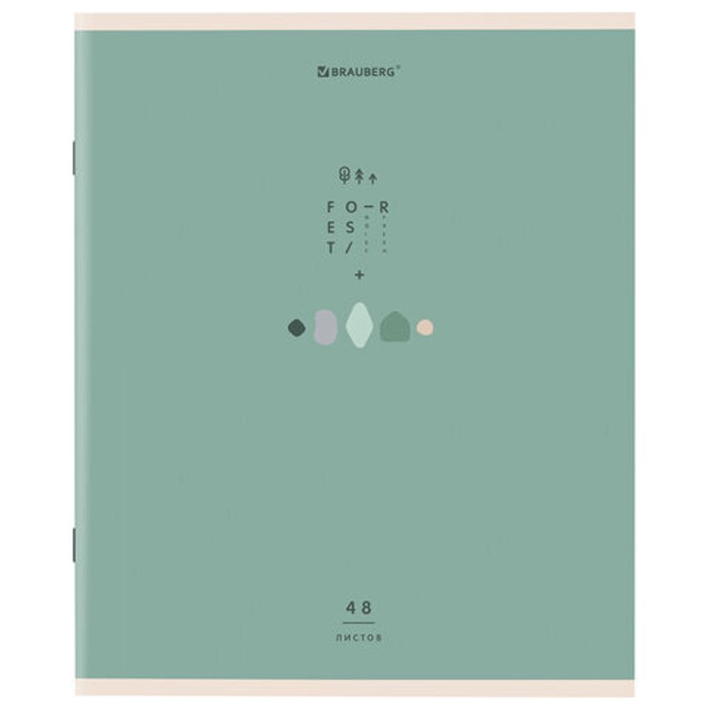 Тетрадь А5 48 л. BRAUBERG скоба, клетка, обложка картон, "Natural", 404359, 1шт
