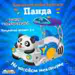 Семейная электрическая лодка-катамаран «Панда» , 2+1