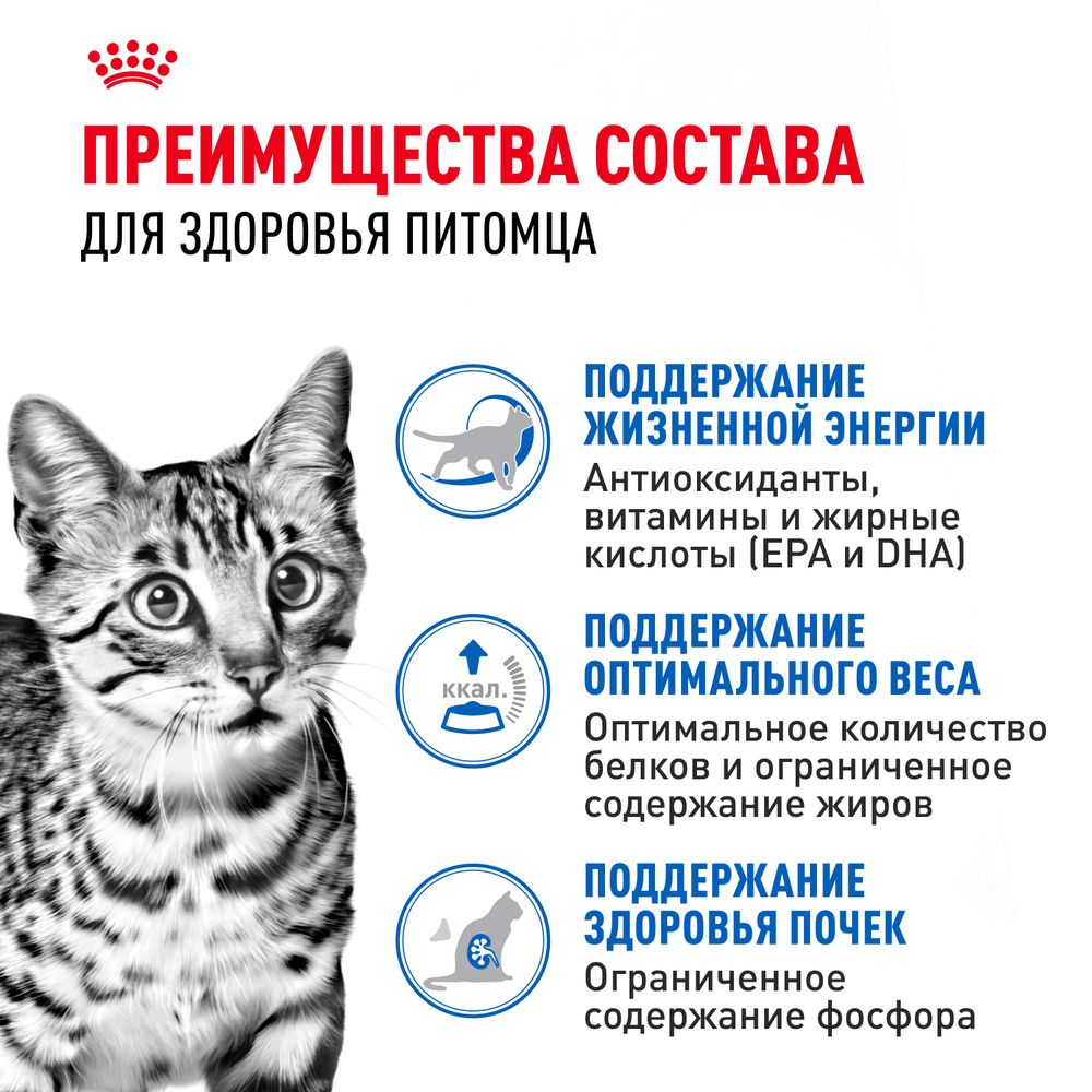 Пауч Royal Canin Indoor Sterilized 7+ для кошек в возрасте от 7 до 12 лет, живущих в помещении, небольшие кусочки в соусе Пауч Royal Canin Indoor Sterilized 7+ для кошек в возрасте от 7 до 12 лет, живущих в помещении, небольшие кусочки в соусе