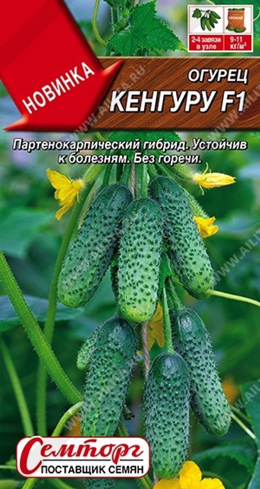 Огурец Кенгуру F1 10шт
