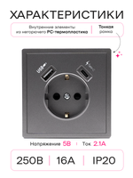 Розетка одинарная внутренняя с USB и type C