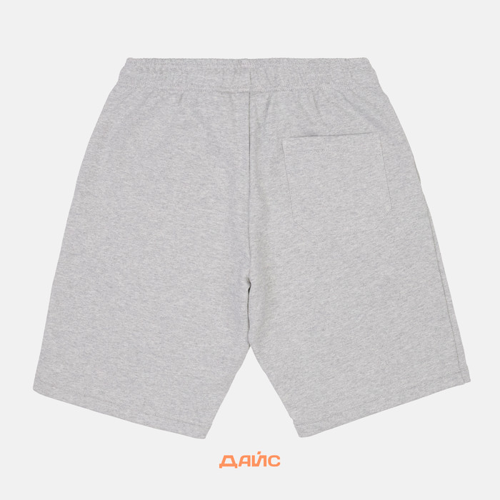 Шорты мужские Dickies Mapleton Short артикул:DK0A4Y83GYM1 - купить в магазине Дайс