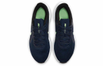 Кроссовки Nike Downshifter 10