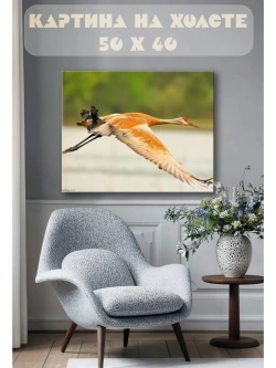 Картина на стену 40 X 50 Птицы