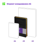 Ежедневник недатированный, А5, 160л., кожзам, Berlingo "xGold", зол. срез, черный