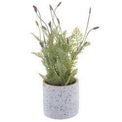 GAEM Цветочная композиция, L19 W19 H34 см, 2в.